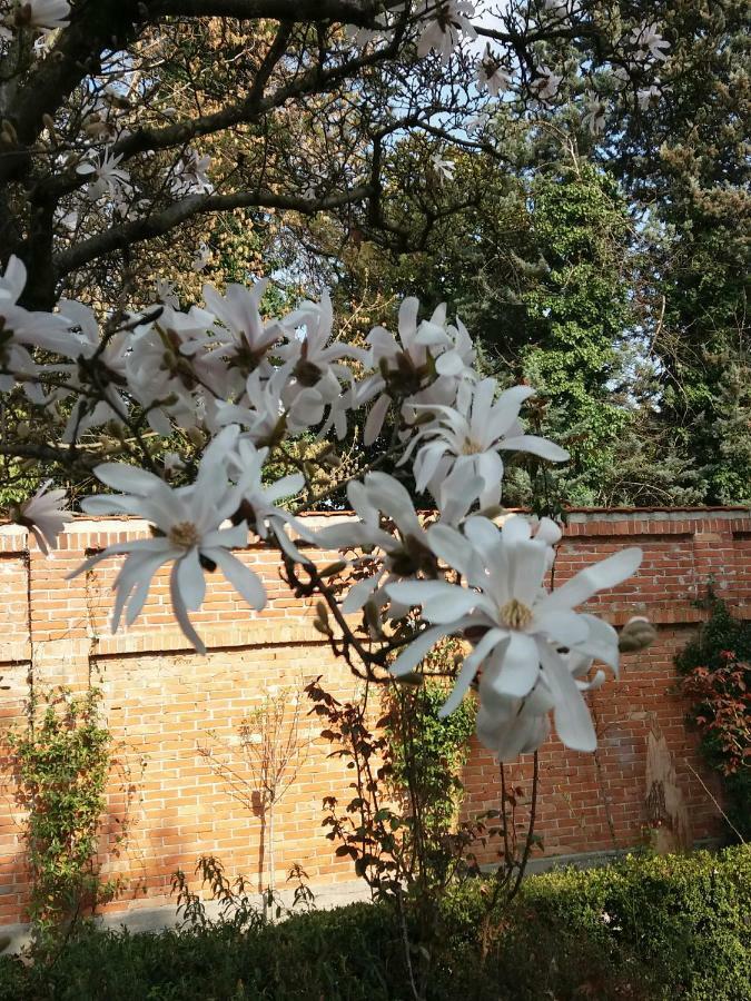 A Casa Di Dora Bed & Breakfast Treviso Dış mekan fotoğraf