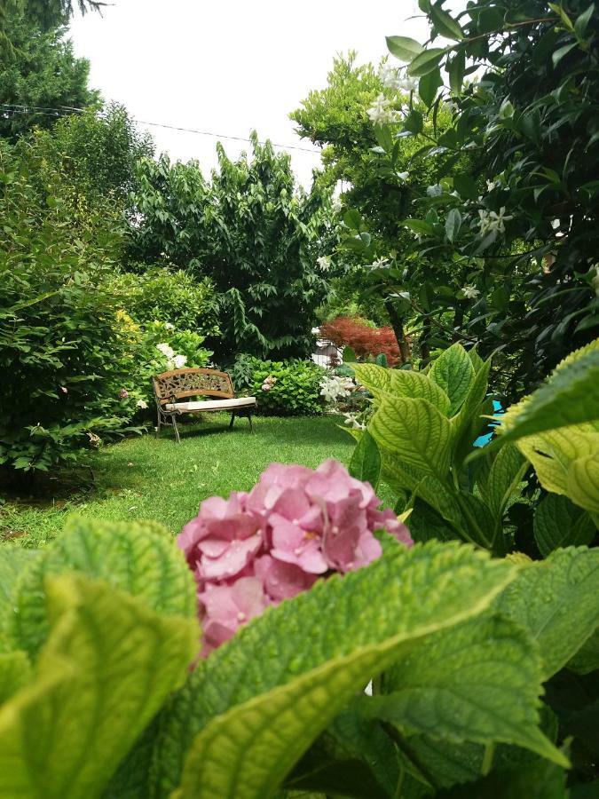 A Casa Di Dora Bed & Breakfast Treviso Dış mekan fotoğraf